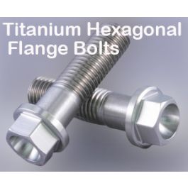 M6 x 1mm Titanium Drilled Flange Nut