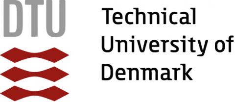 University of Denmark